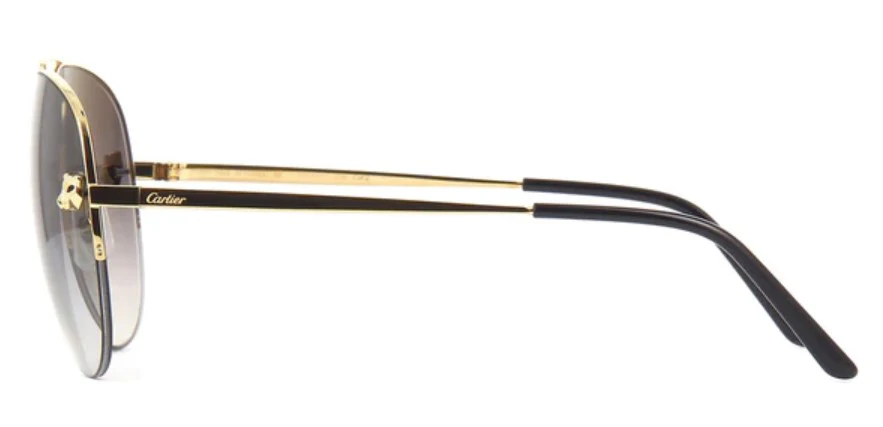 Cartier Panthere Pilot CT0065S - Image 10