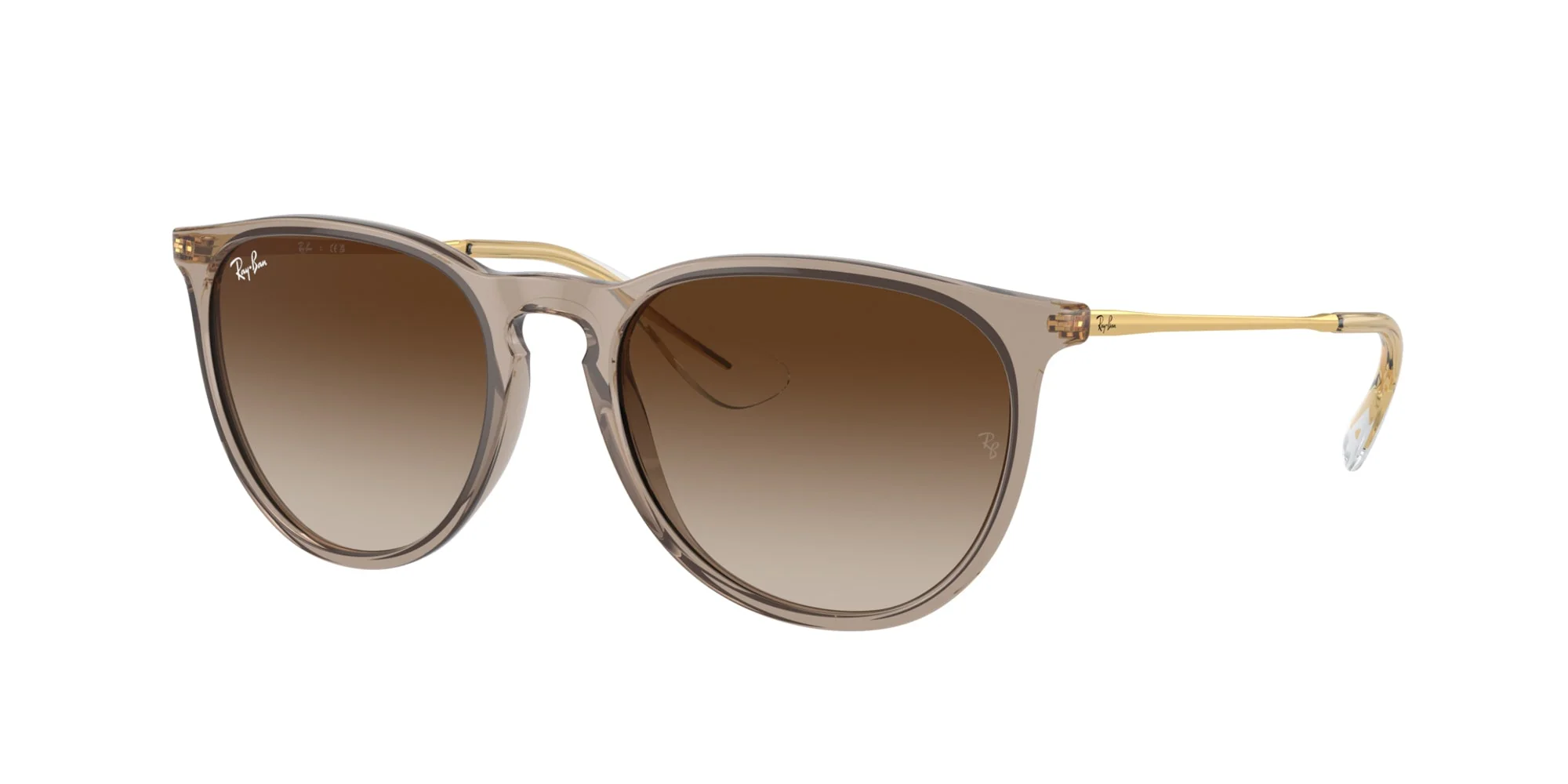 Ray-Ban Erika RB4171 - Image 46
